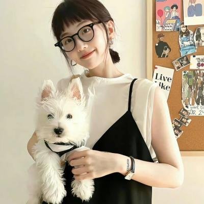 哈比王传奇