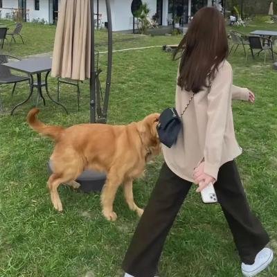 爱芯第一季